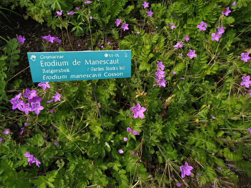 panneau explicatif au Conservatoire botanique national de Bailleul