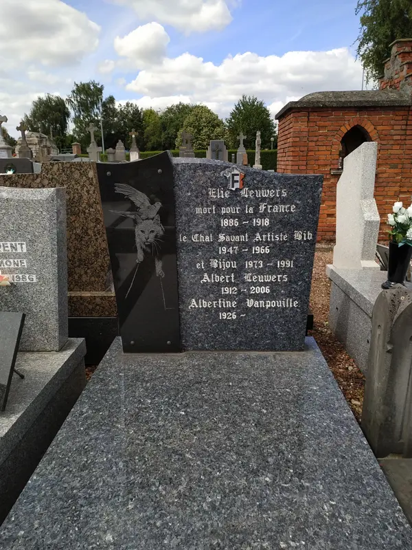 sépulture d'Albert Lewers et Elie Lewers à Bailleul