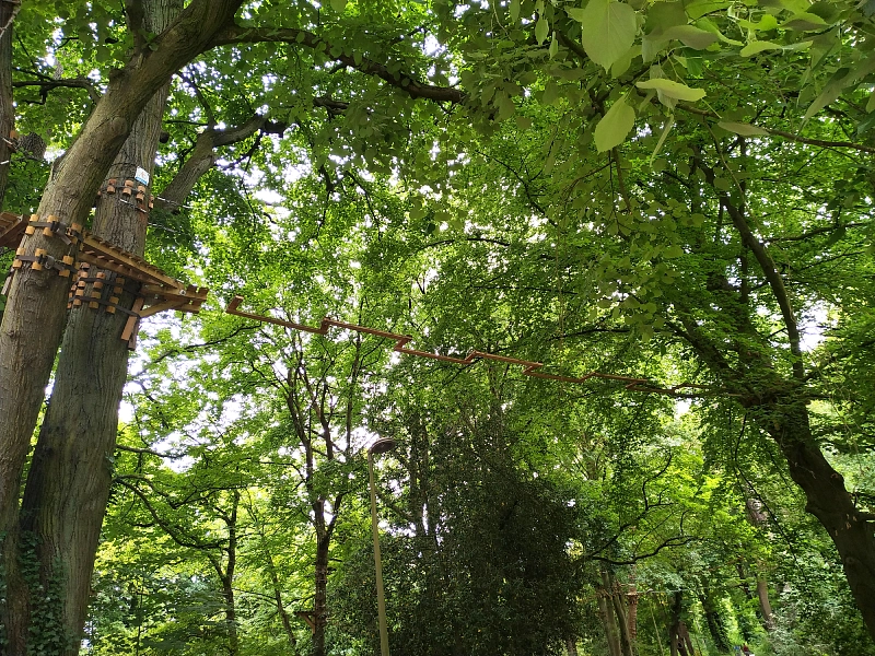 accrobranche dans le parc de la citadelle de Lille