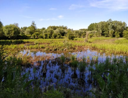 marais de péronne en mélantois