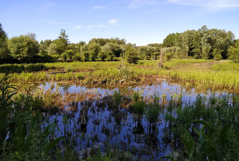 marais de péronne en mélantois