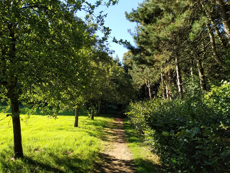 le parc départemental Marguerite Yourcenar, sur le sentier des Jacinthes