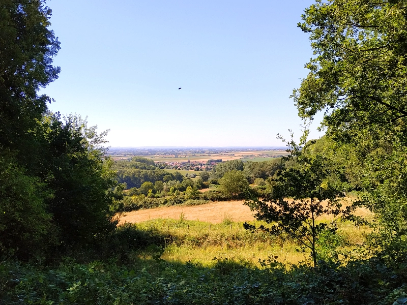 Jolie vue sur les flandres, à la sortie du bois du Mont Noir