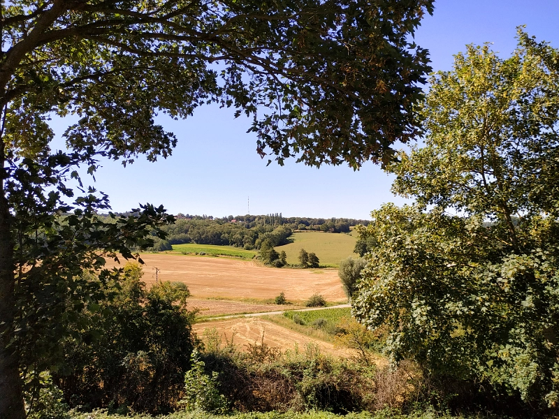 vue sur les flandres depuis Boeschepe