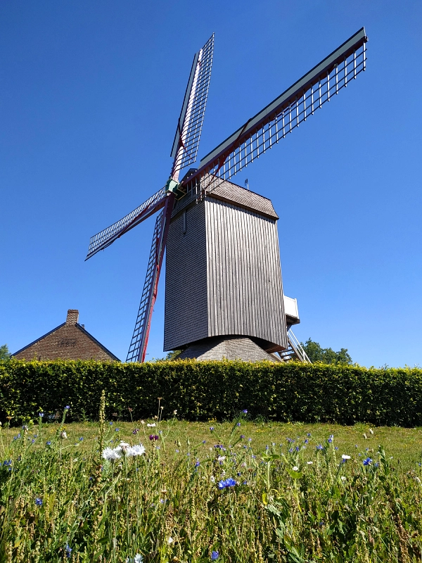 L’Ondankmeulen à Boeschepe