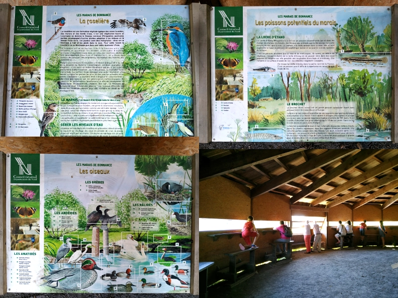 panneaux explicatifs et intérieur de l'observatoire des marais de la Marque