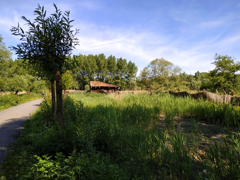 l'observatoire de la marre tampon