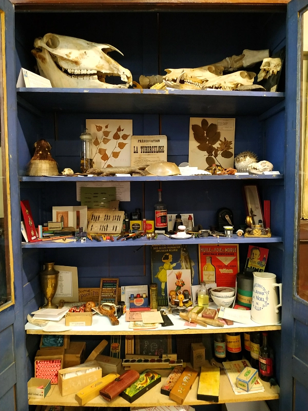 le cabinet de curiosité de l'écomusée des écoles de Lille