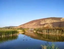 le parc des îles à henin carvin