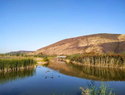 le parc des îles à henin carvin
