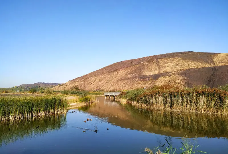le parc des îles à henin carvin