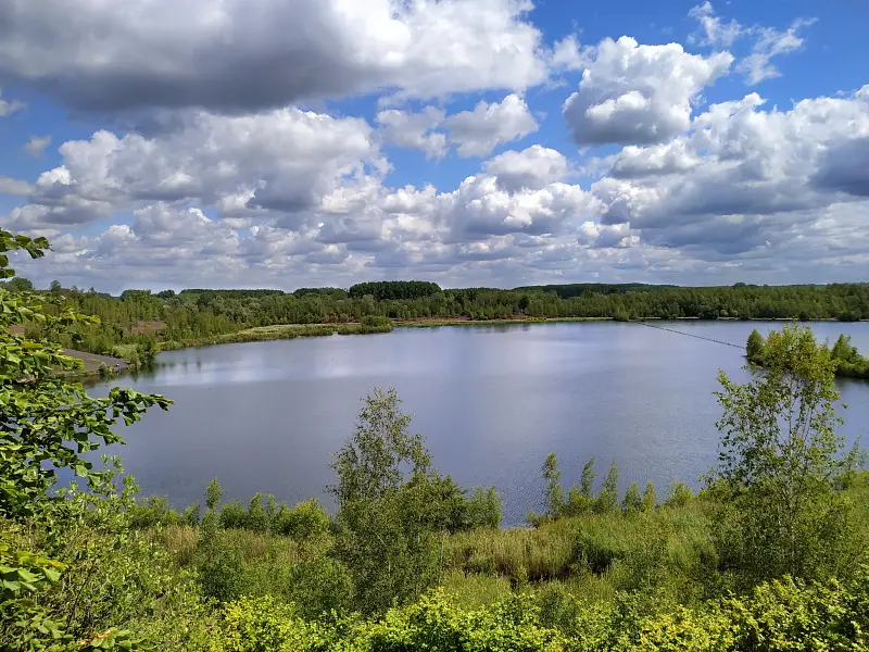 l'étang du parc des argales