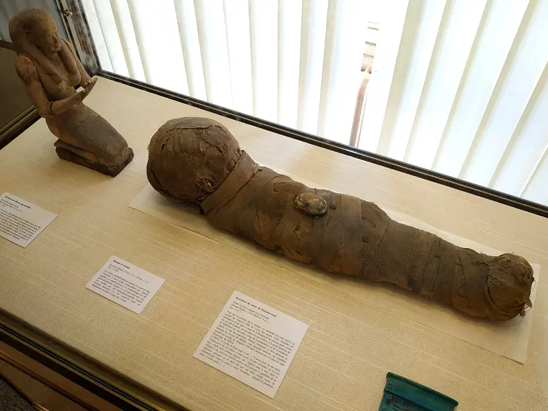 la momie d'un enfant egyptien au musée Antoine Vivenel de Compiègne