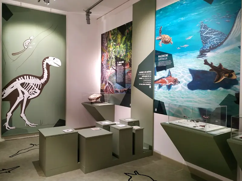 l'espace Préhistoire du musée Antoine Vivenel de Compiègne