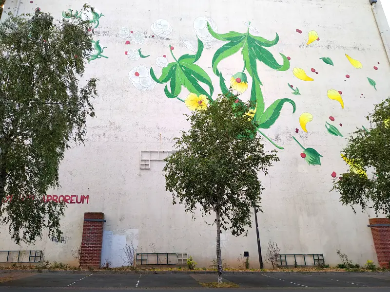 fleur de coton street art à Roubaix