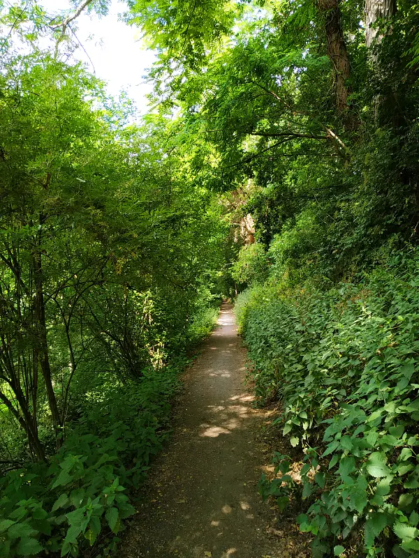 le chemin de halage le long du canal de Seclin