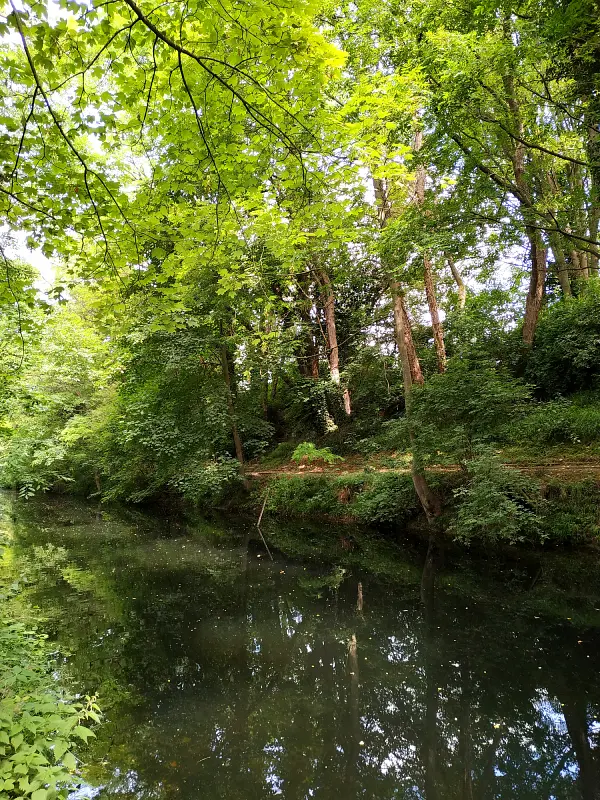 Les berges boisées du canal de Seclin