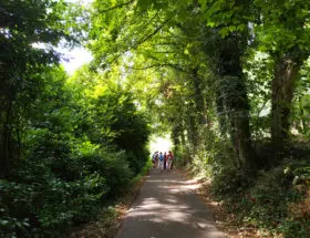 img 20190721 104400