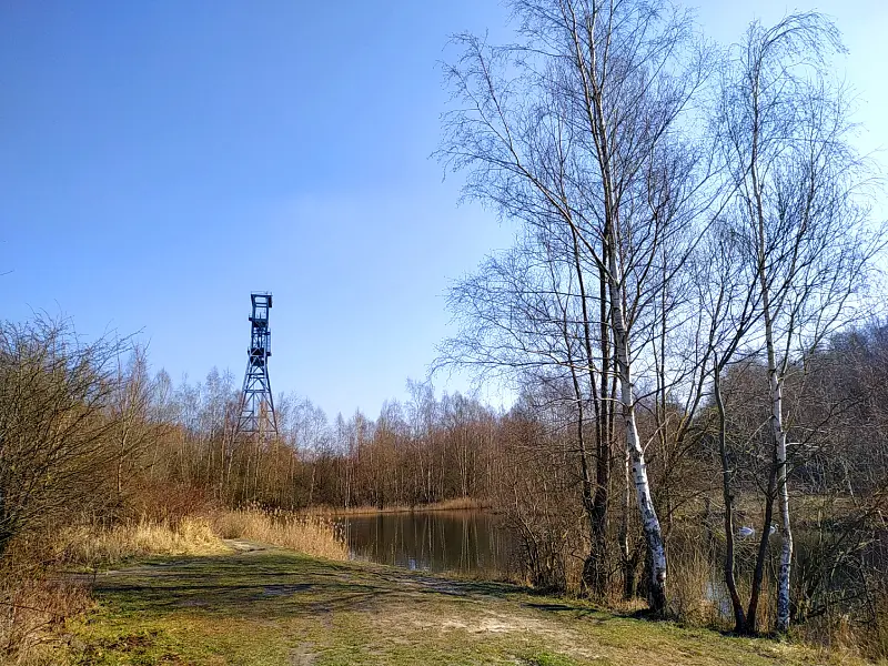img 20210307 114650