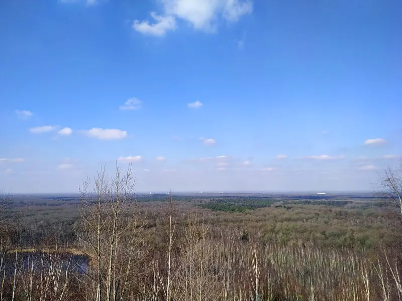 img 20210307 121842