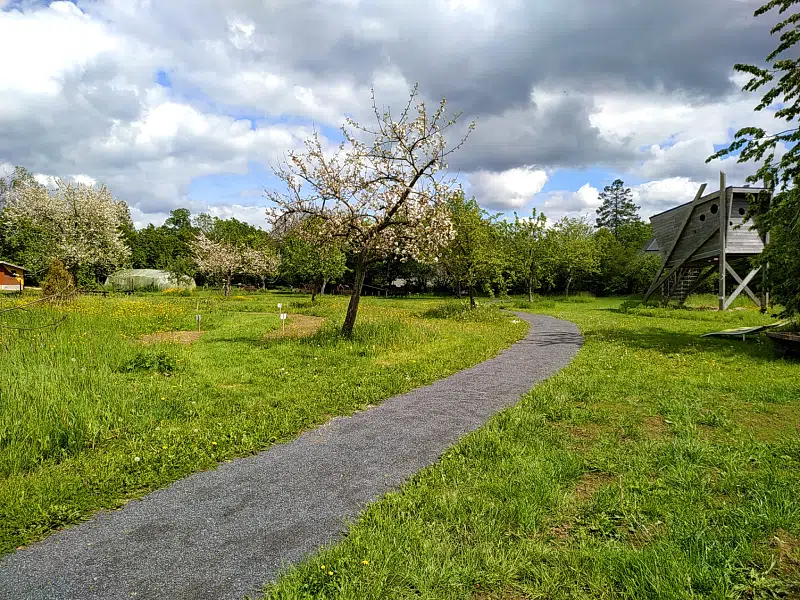 verger de la maison du bocage à Sains-du-Nord