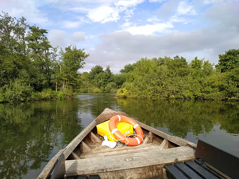 Visite du marais en bacôve