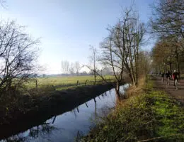 img 20210110 115307