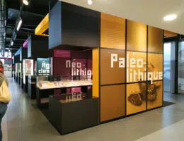 musée arkeos