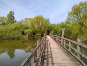 img 20220418 150134