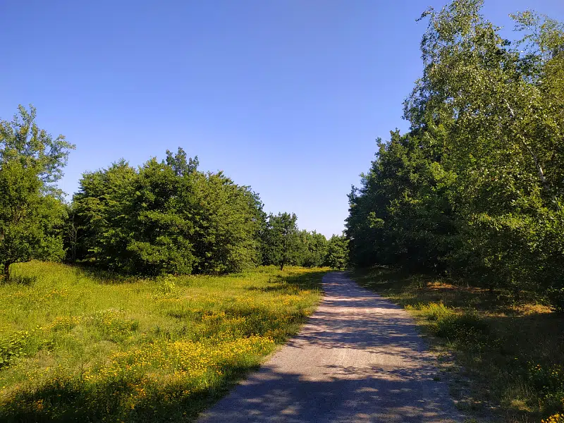La réserve naturelle des Lains, Annelles et Pont Pinnet