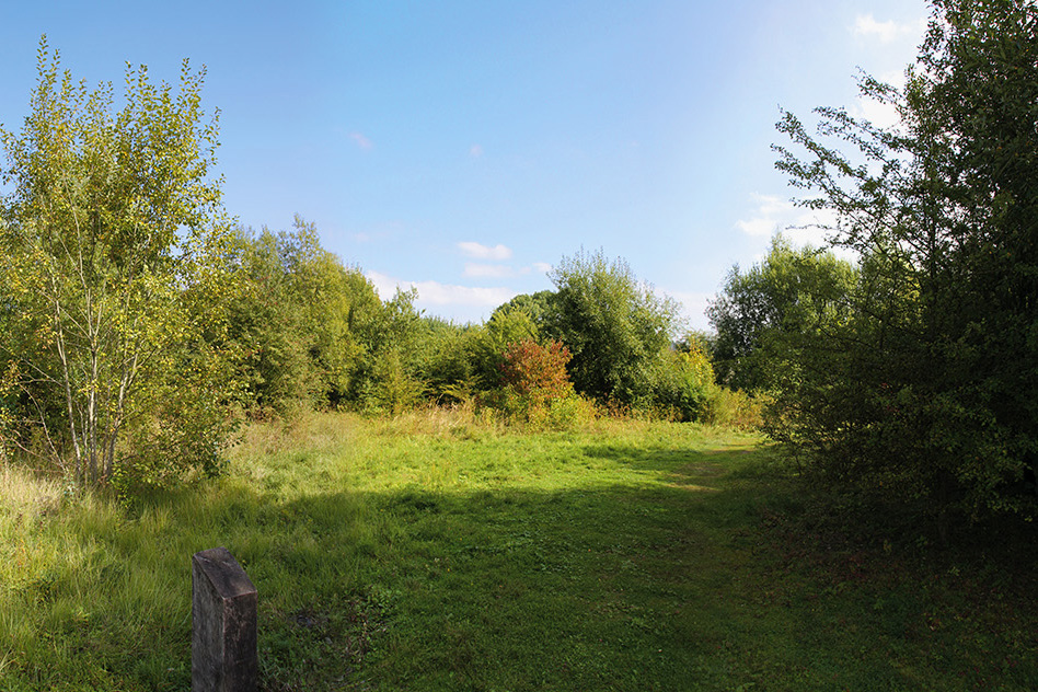 Panoramique de la carrière des nerviens 