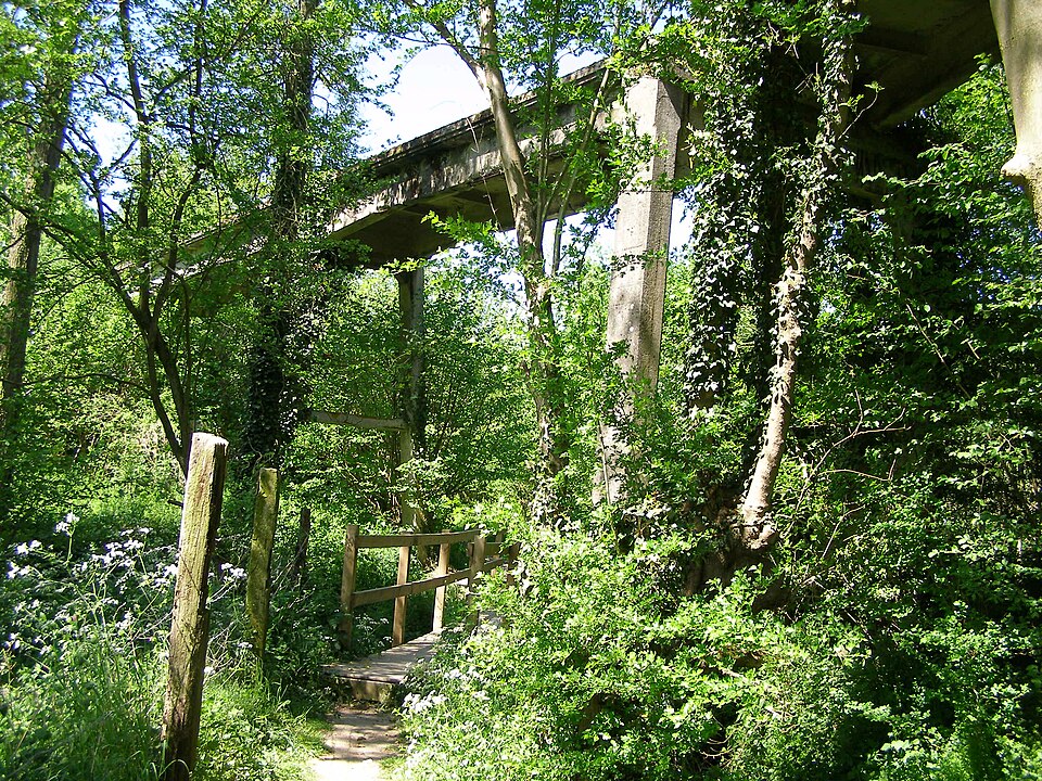 pont blanc bavay