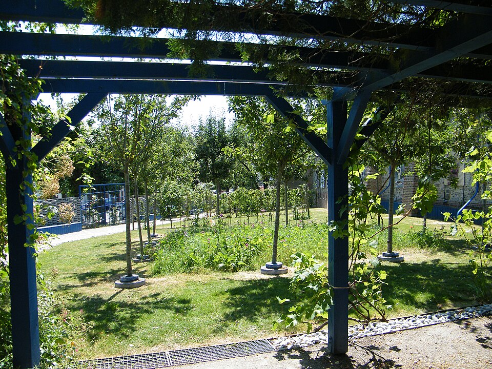 St valery somme fruticetum 2