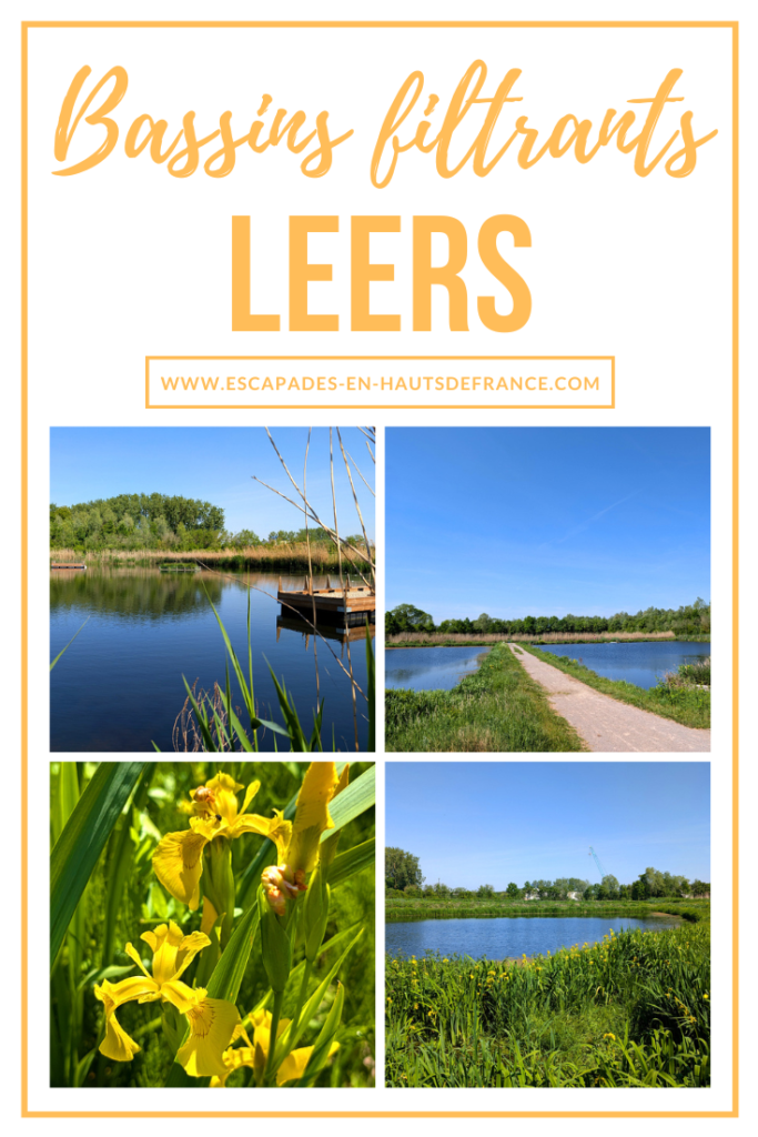 Bassins filtrants leers