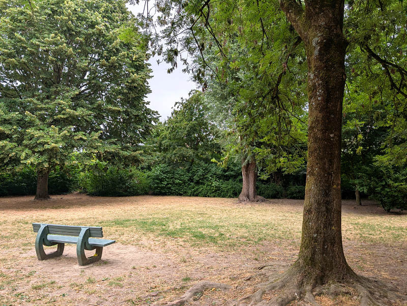 Pxl 20260718 071256675